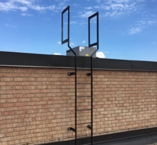 Fixed Access Ladder