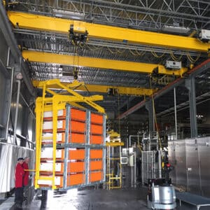 Edited Crane Picture