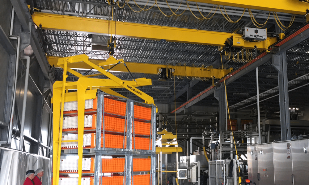 Edited Crane Picture